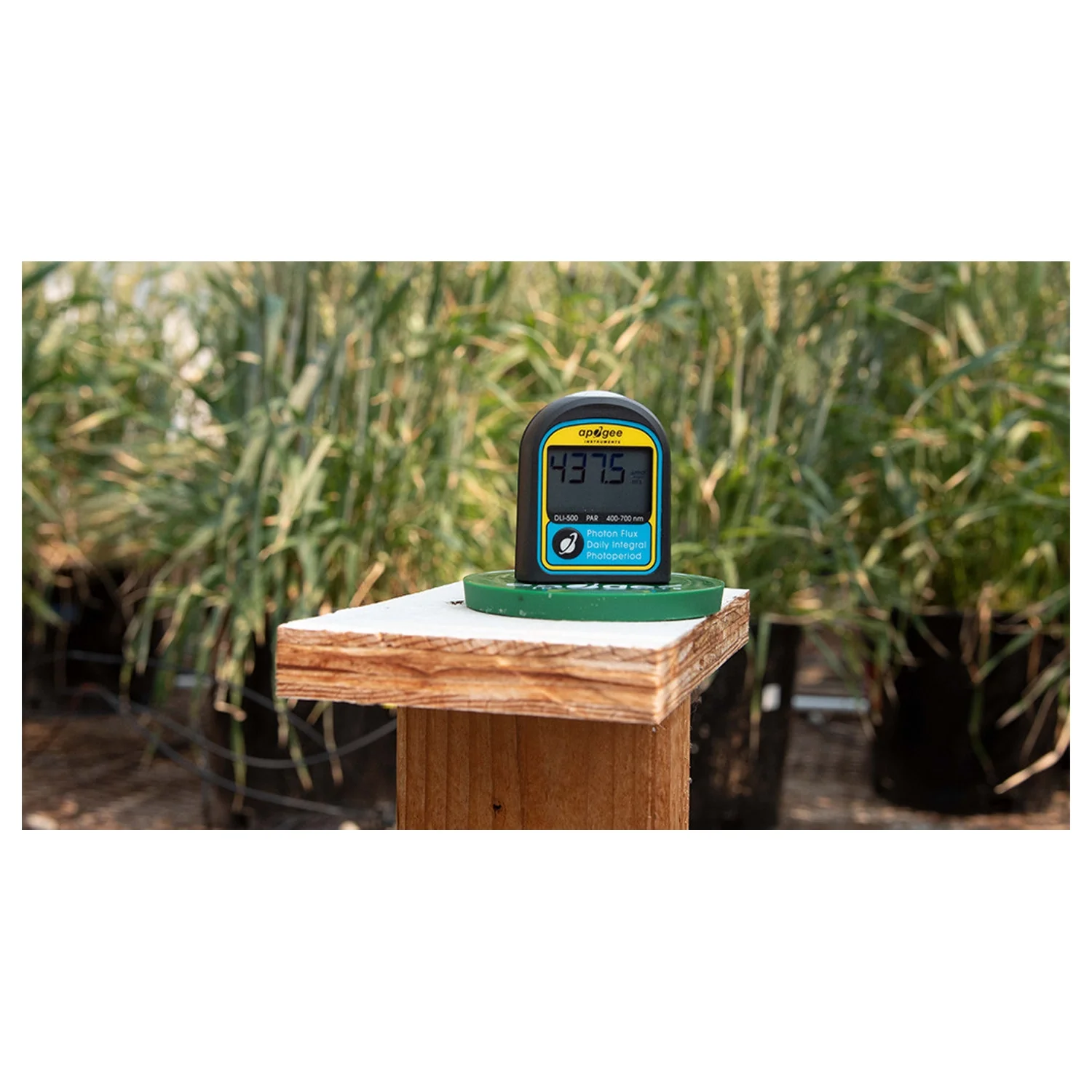 Apogee Instruments DLI-500 Full-Spectrum, PAR, Daily Light Integral, and Photoperiod Meter (400-700 nm) - Image 9