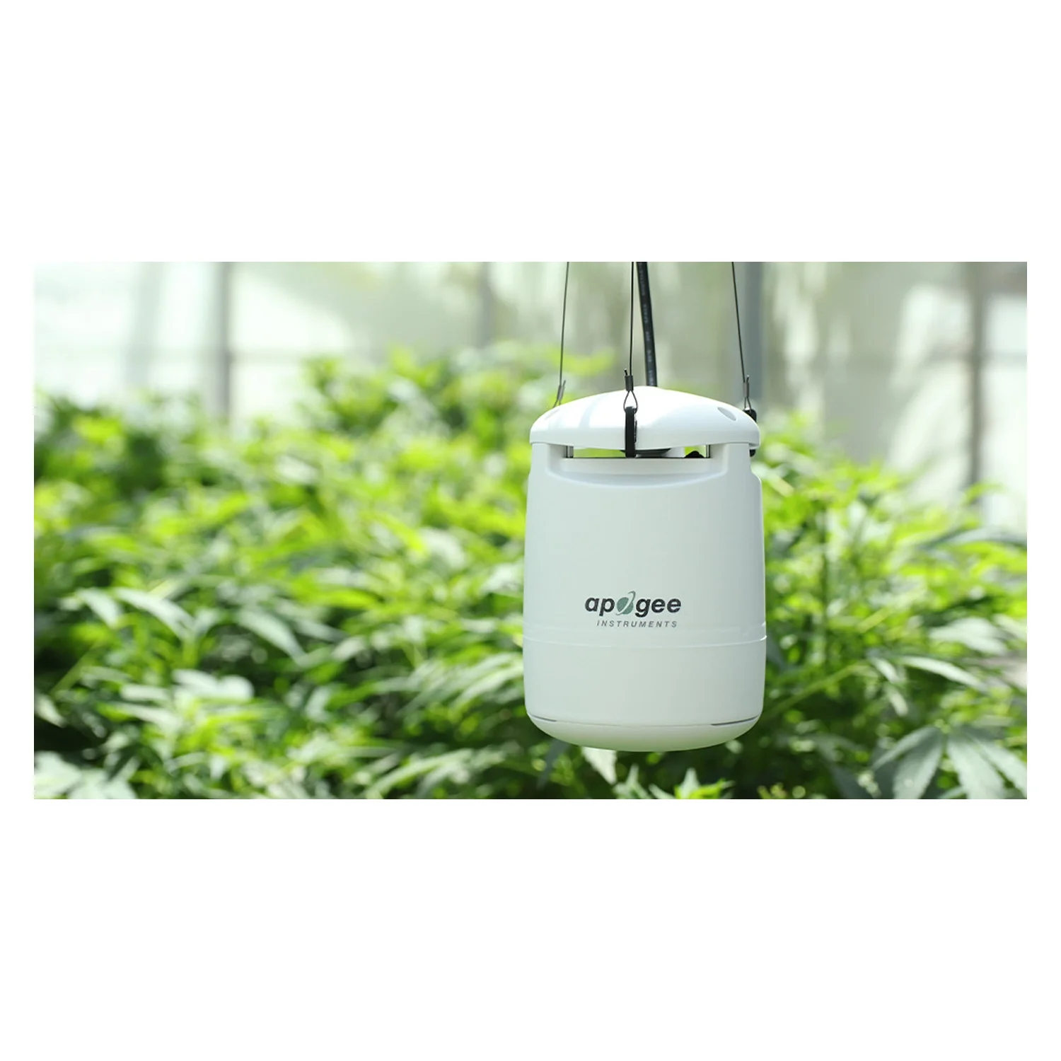 Apogee Instruments SM-600 ePAR Guardian CEA Multi-Sensor Monitor - Image 6