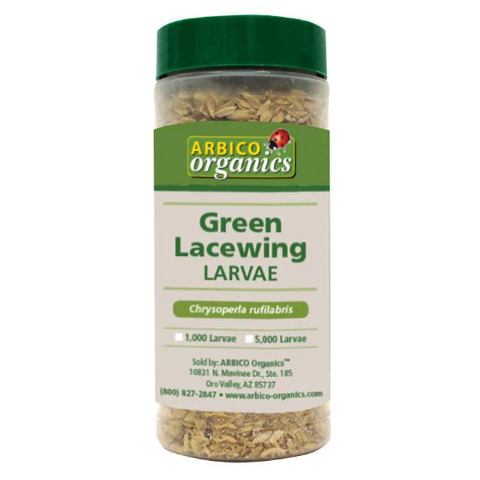 ARBICO Organics Green Lacewing Larvae, Bucket of 10,000