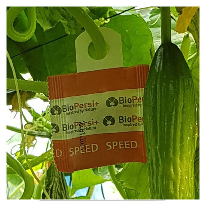 ARBICO Organics Phytoseiulus Persimilis PLUS Beneficial Mites - Image 9