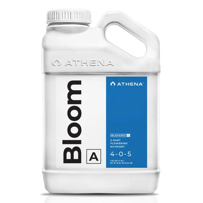 Athena Blended Bloom A 4-0-5 - Image 3