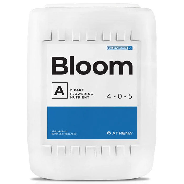 Athena Blended Bloom A 4-0-5 - Image 4