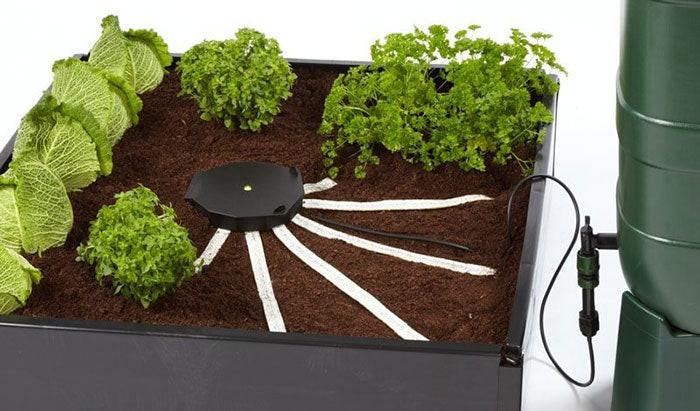 AutoPot AQUAbox Spyder - Wide Raised Beds & Allotments - Image 4