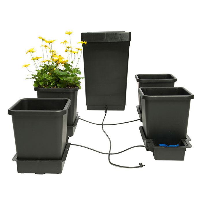 AutoPot 4 Pot Watering System - Image 3