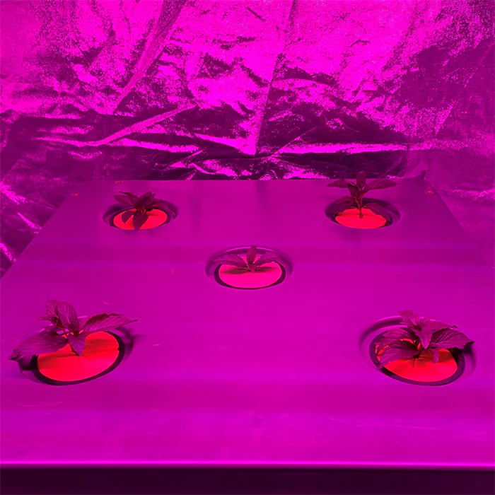 Bifarm Tech AeroXPS PRO Aeroponic Grow System With Integrated Climate Control - Image 7