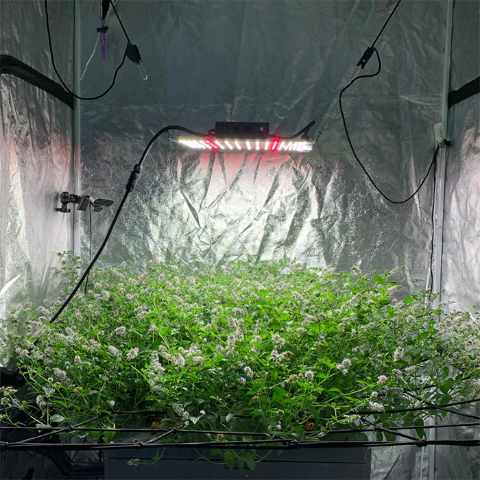 Bifarm Tech AeroXPS PRO Aeroponic Grow System With Integrated Climate Control - Image 8