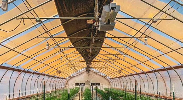 BioTherm Solutions UbiGro QD Greenhouse Film, 25 Ft. Length, 100 Sq. Ft. - Image 3