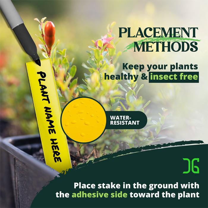 CatchMaster Dual Action Plant Label Sticky Trap, Pack of 400 - Image 4