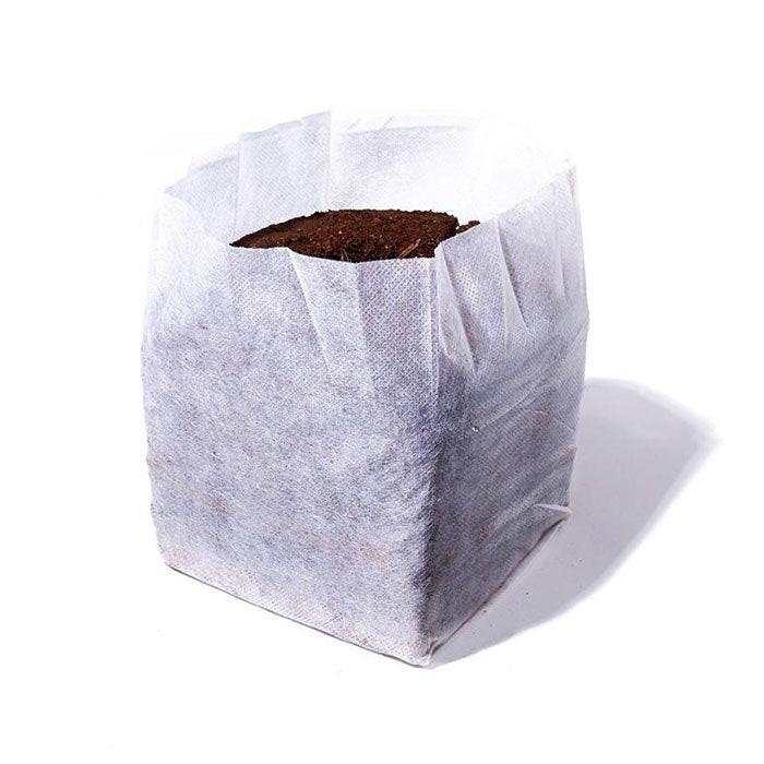 Char Coir BioPot - Image 4