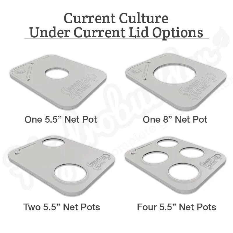 Current Culture 3-Site Multi-Mod Expansion Kit for Under Current Evolution - Image 5