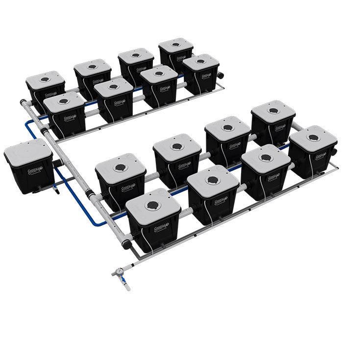 Current Culture Under Current UCXL RDWC System - Image 14