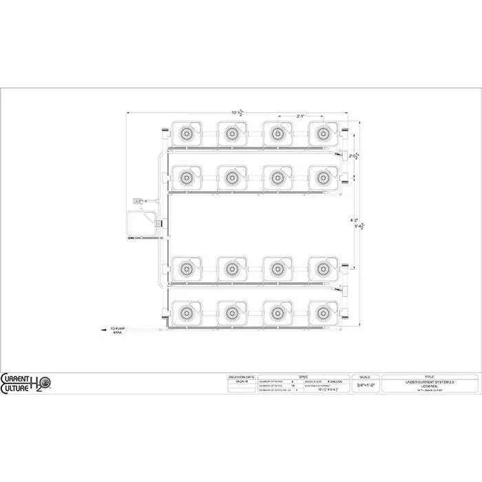 Current Culture Under Current UCXL RDWC System, 16-Site, 4-Row - Image 6