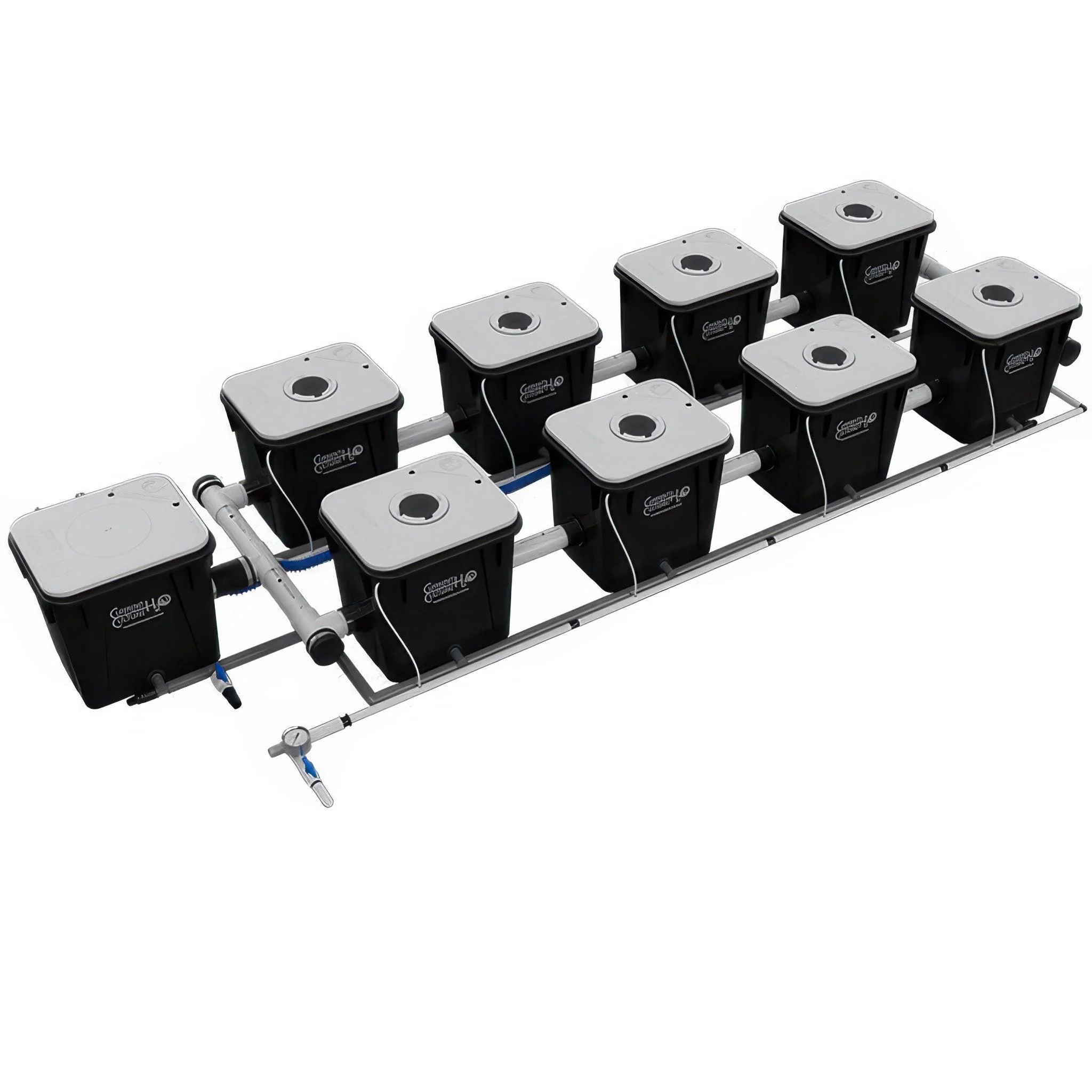 Current Culture Under Current UCXL RDWC System - Image 2