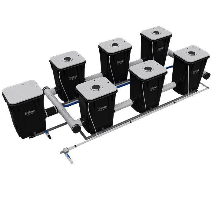 Current Culture Under Current UCXL13 RDWC System - Image 10