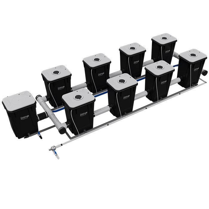 Current Culture Under Current UCXL13 RDWC System - Image 11