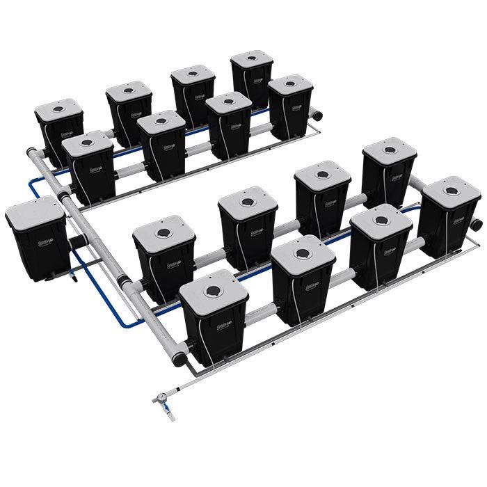 Current Culture Under Current UCXL13 RDWC System - Image 14