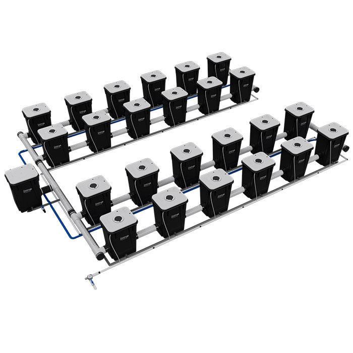 Current Culture Under Current UCXL13 RDWC System - Image 15