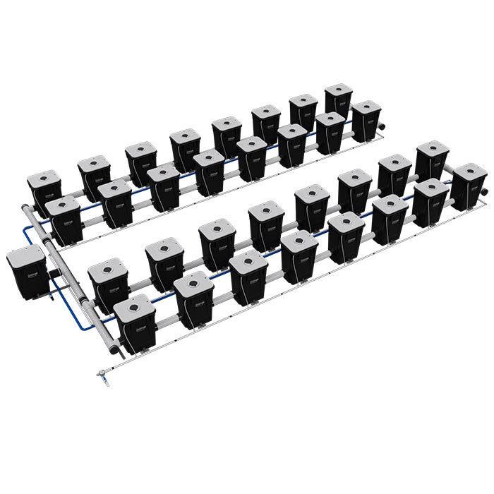 Current Culture Under Current UCXL13 RDWC System - Image 16