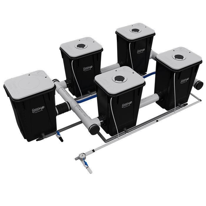 Current Culture Under Current UCXL13 RDWC System - Image 5
