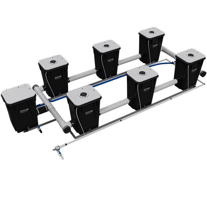 Current Culture Under Current UCXXL13 RDWC System - Image 10