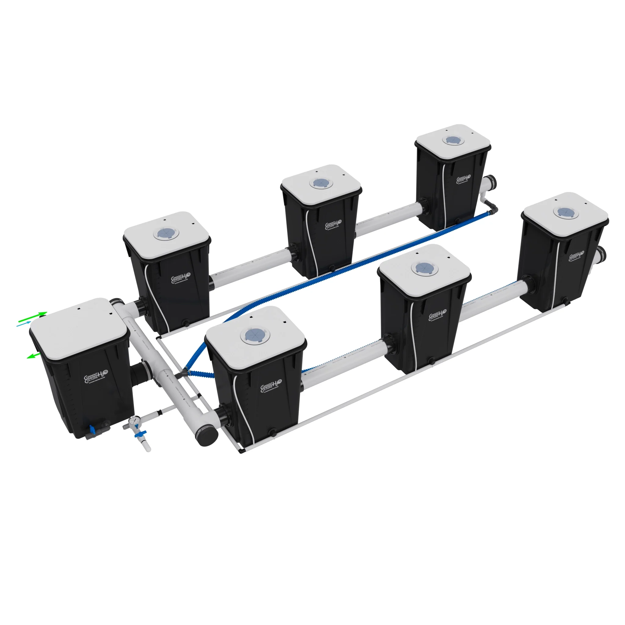 Current Culture Under Current UCXXL13 RDWC System - Image 2