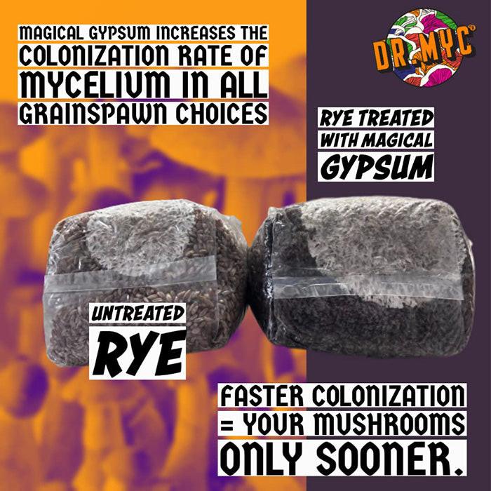 Dr. Myc Magical Gypsum - Image 5