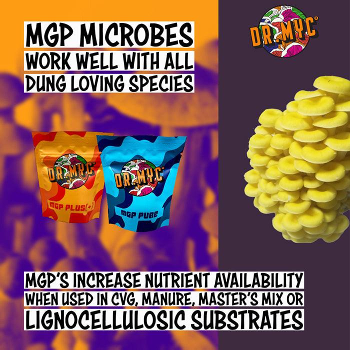 Dr. Myc MGP Plus Microbes, 25 Grams - Image 4