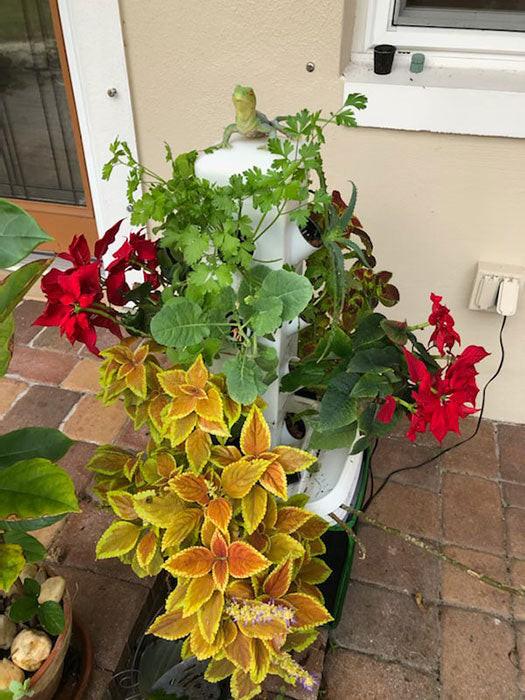 ExoTower Hydroponic Garden Tower - Image 12