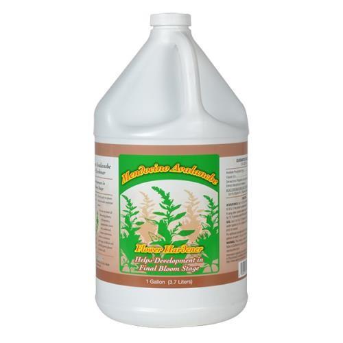 Grow More Mendocino Avalanche - Image 4