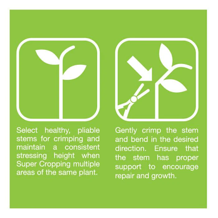 Grow1 Super Cropping Tool - Red - Image 2