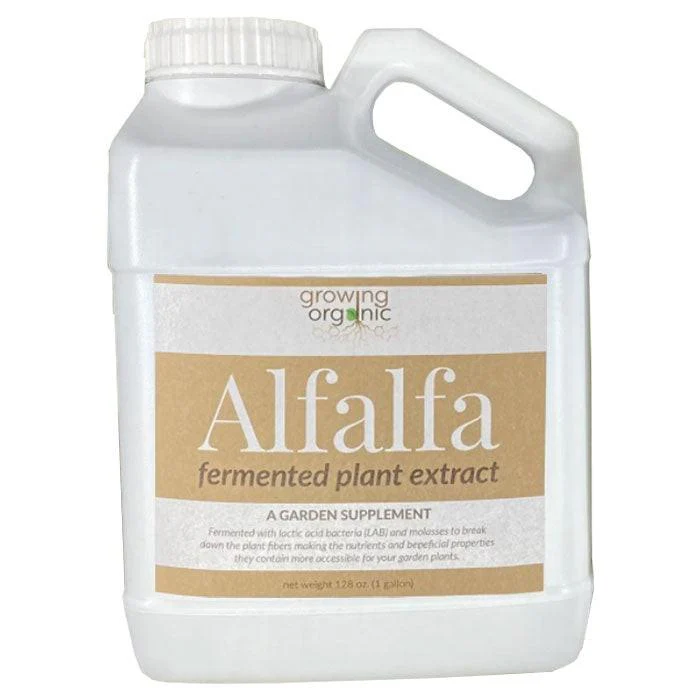 Growing Organic Alfalfa Fermented Plant Extract - Image 2