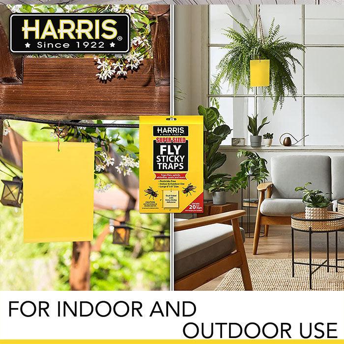 Harris Super Sized Fly Sticky Traps, Pack of 20 - Case of 12 Packs - Image 5
