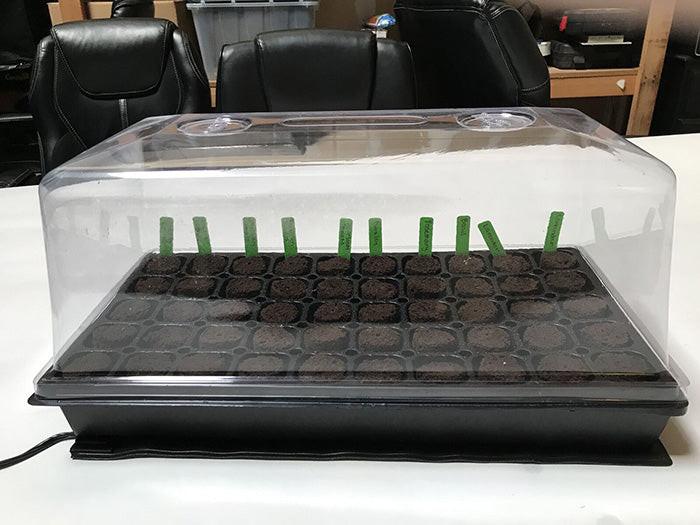 HBX 50 Site Seedling Starter Kit with Root Plugs - Image 6