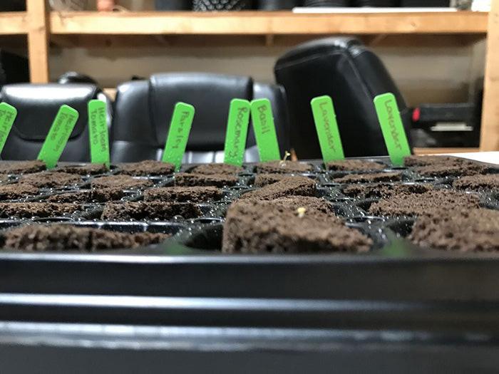 HBX 50 Site Seedling Starter Kit with Root Plugs - Image 8