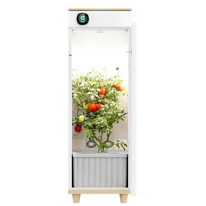 Hey Abby Automated Grow Box - Image 3