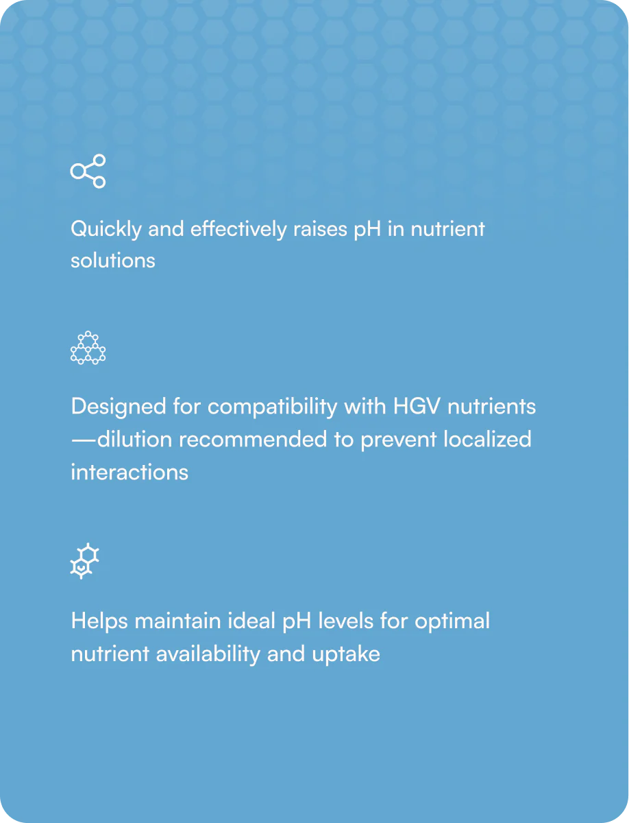 HGV Condition - PH Up - Image 5