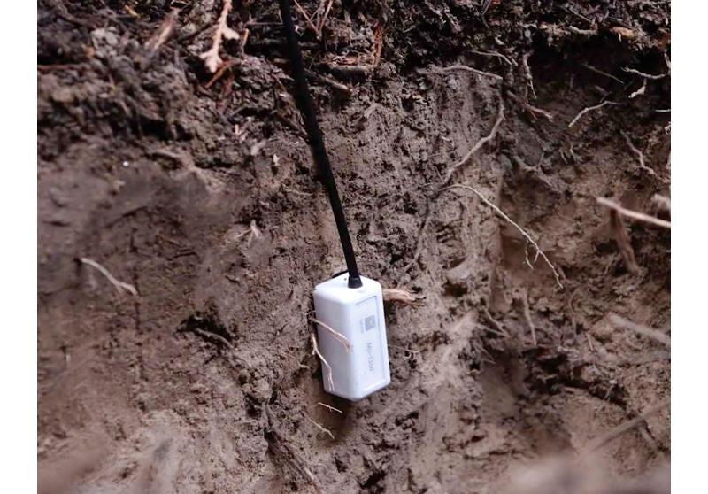HOBO MX Soil Moisture/Temperature Data Logger - Image 3