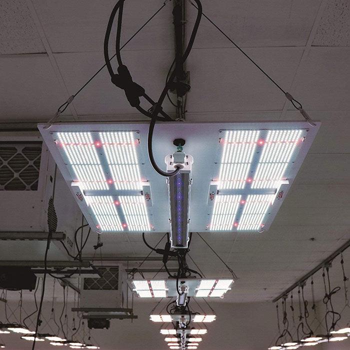 Horticulture Lighting Group 30 UVA Supplement LED Grow Light Bar, 120 Volt - Image 3