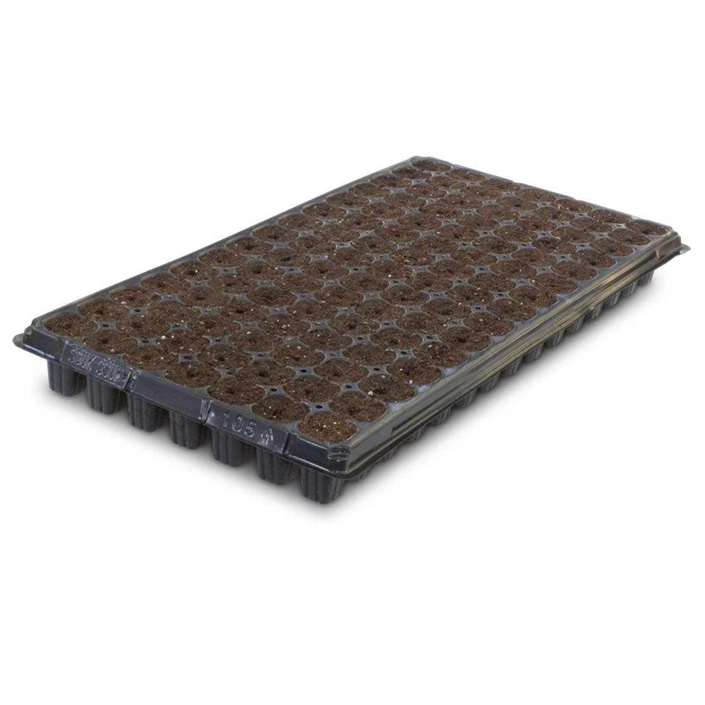 IHORT 105 Prefilled Excel Plug Tray, Case of 7 Trays - 735 Total Plugs