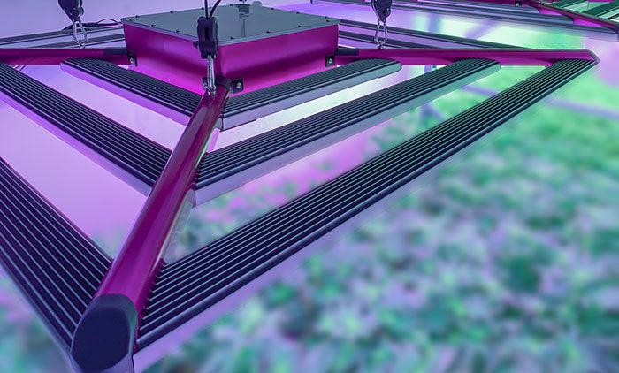 KIND X² Professional 750 Watt LED Grow Light, 240 Volt - Image 9