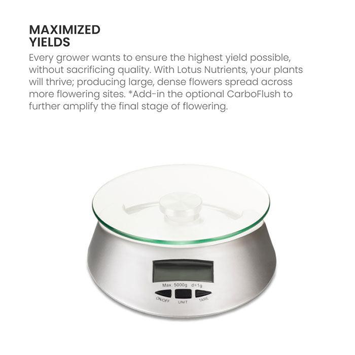 Lotus Pro Series Boost - Image 9