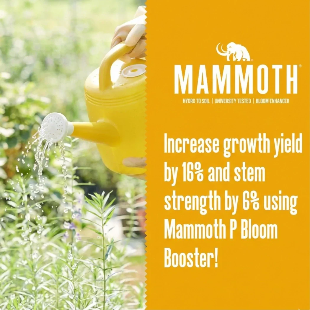 Mammoth P Active Microbials - Image 5