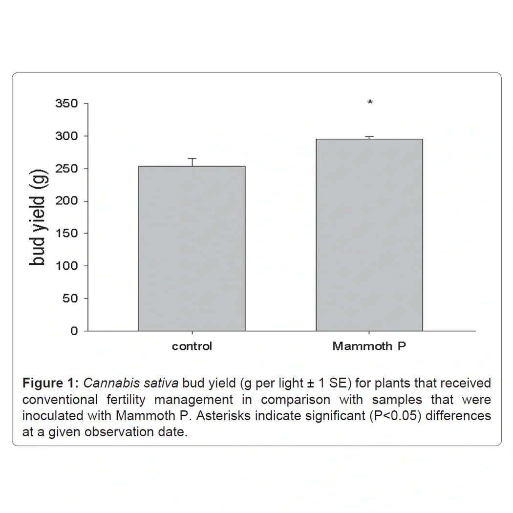 Mammoth P Active Microbials - Image 9