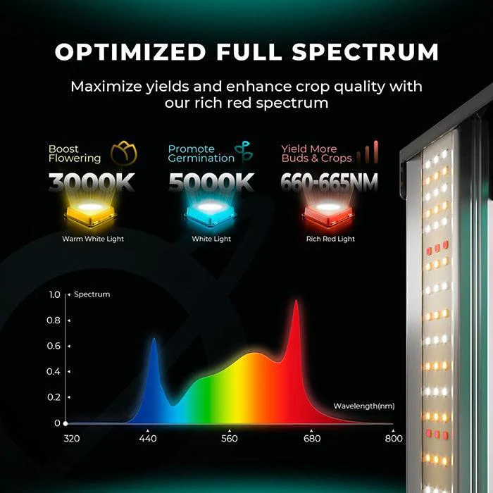 Mars Hydro Smart FC8000-EVO Samsung LM301H 800 Watt LED Grow Light - Image 9