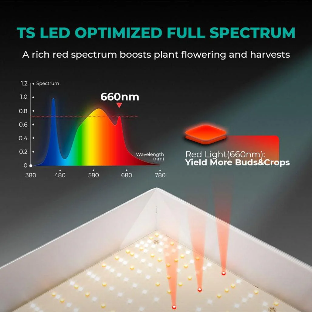 Mars Hydro TS 1000 150 Watt LED Grow Light - Image 4