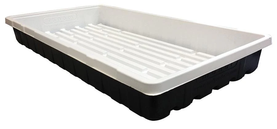 Mondi Propagation Tray, 10x20 - Image 5