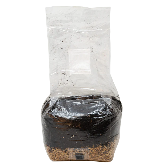 Monster Mushroom All-In-One Grow Bag 3 lb