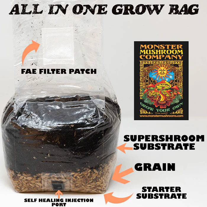 Monster Mushroom All-In-One Grow Bag 3 lb - Image 2