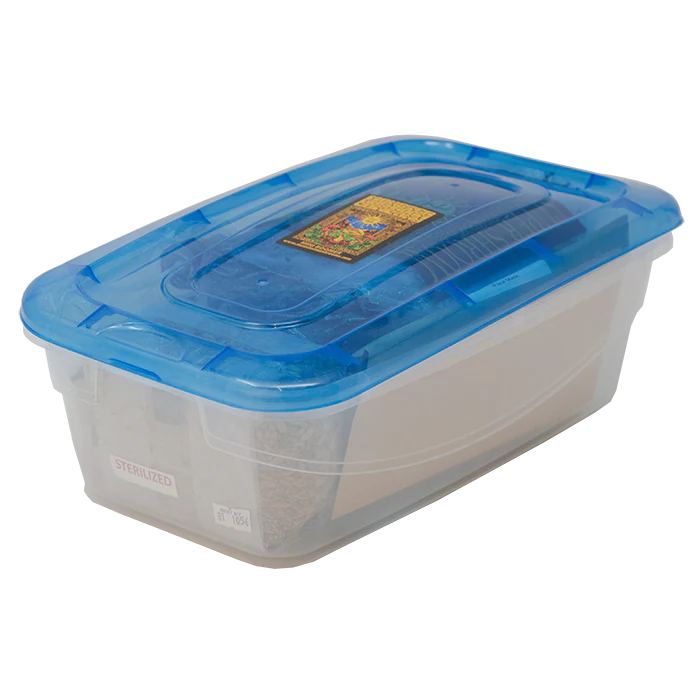 Monster Mushroom Mini-Boomer Grow Kit - Image 2