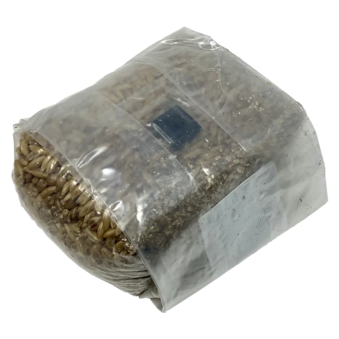 Monster Mushroom Super Spawn Grain Bag, 1 lb - Pack of 2 - Image 2